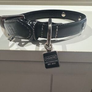 Dog coach collar